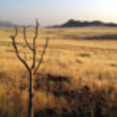 Club 757 Restaurant & Lounge